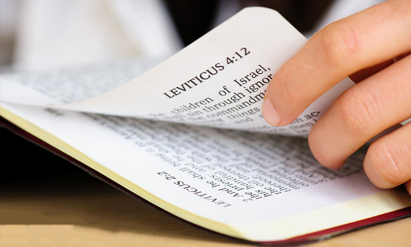 成为基督徒的秘诀（上） 传福音 如何成为基督徒 怎样信耶稣 为什么要信耶稣 天国福音 第14张