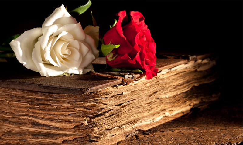 成为基督徒的秘诀（上） 传福音 如何成为基督徒 怎样信耶稣 为什么要信耶稣 天国福音 第16张